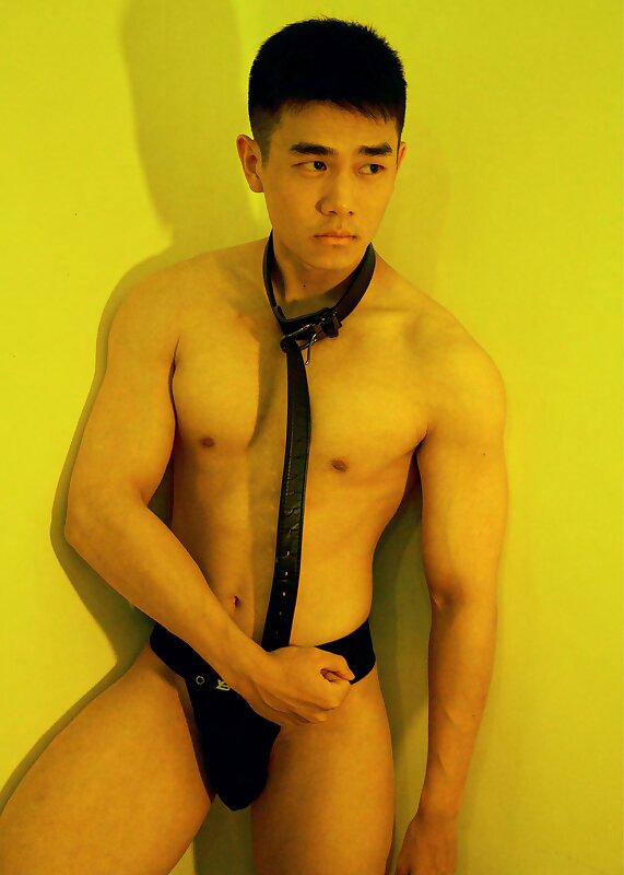 Next Image >>
