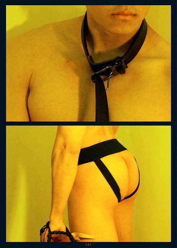 Next Image >>