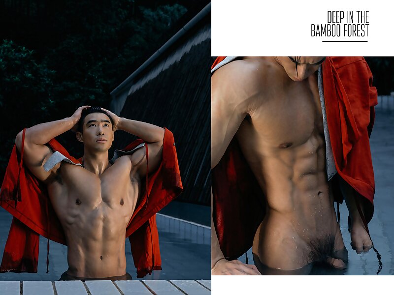 Next Image >>