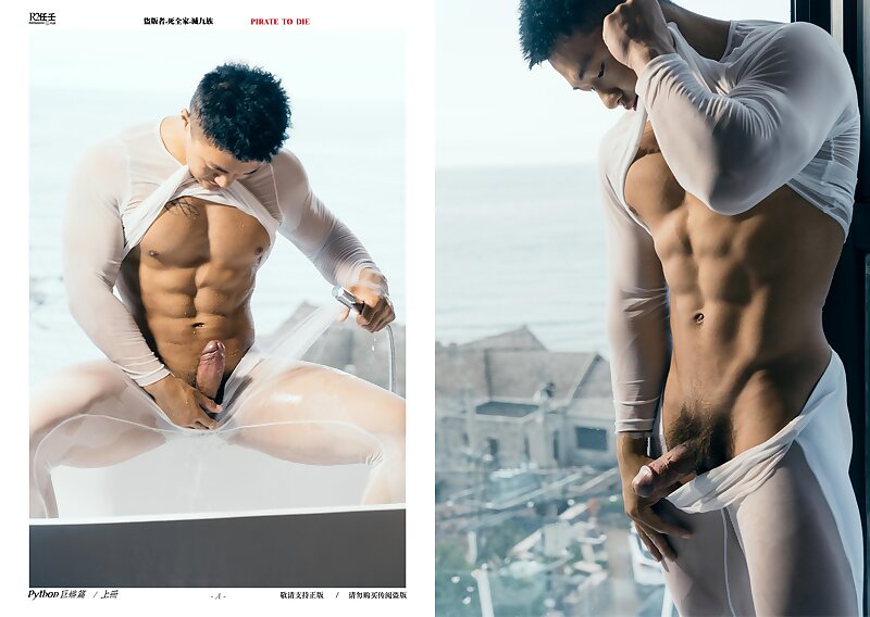 Next Image >>