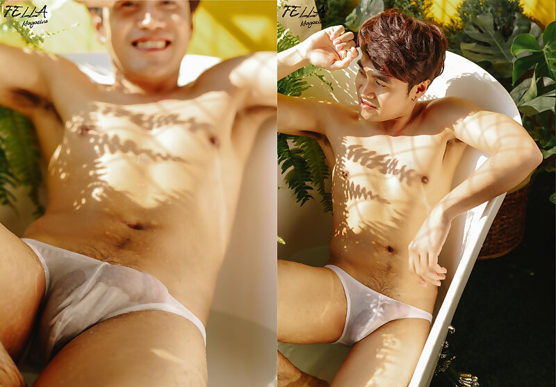 Next Image >>