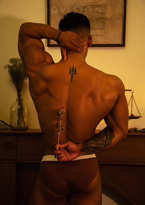 Next Image >>