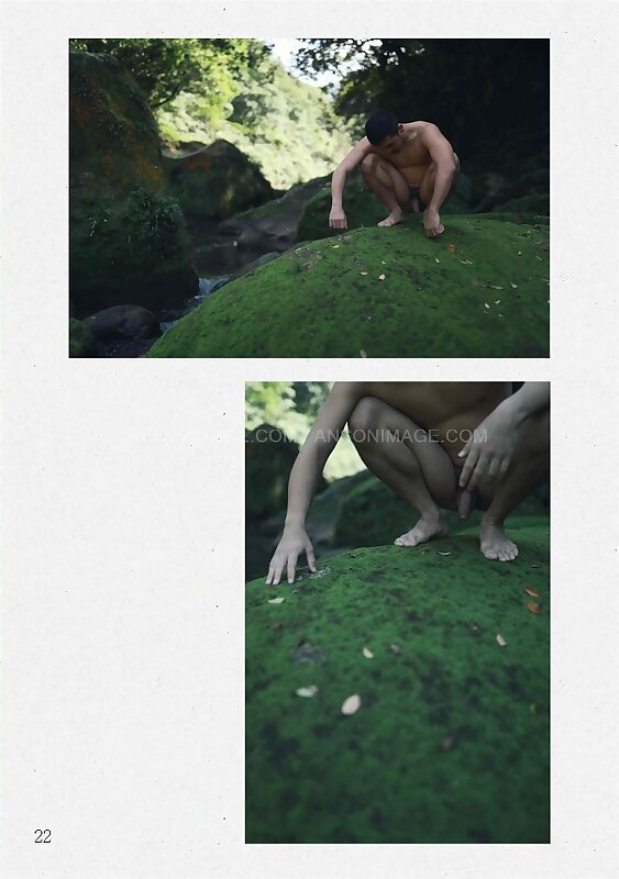 Next Image >>