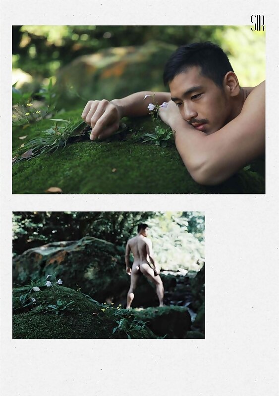 Next Image >>