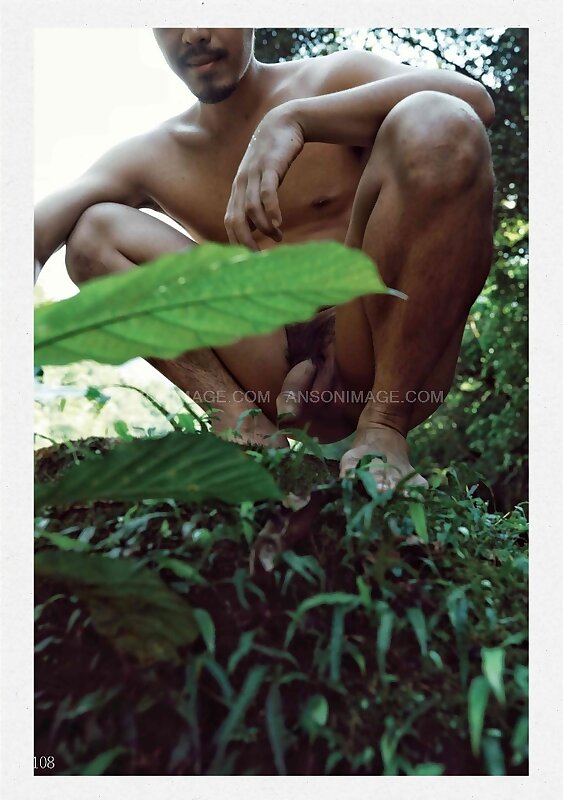 Next Image >>