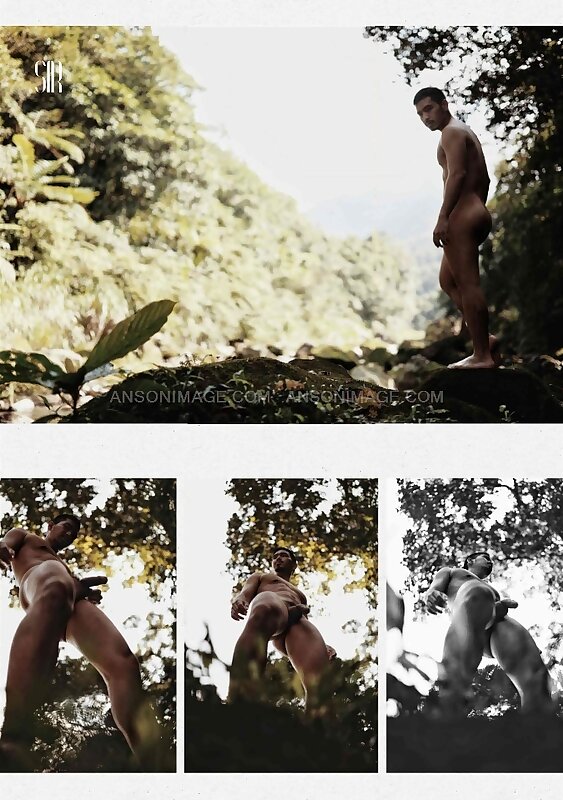 Next Image >>