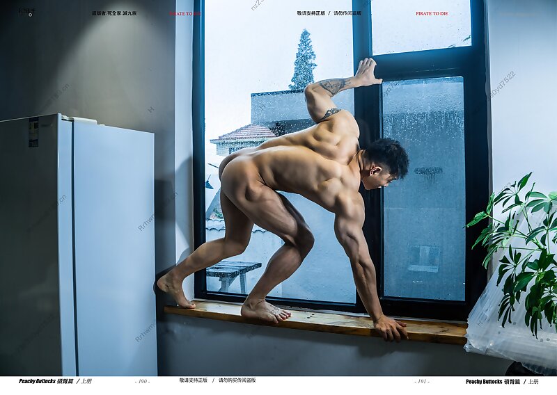 Next Image >>