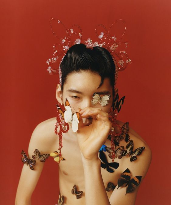 Next Image >>