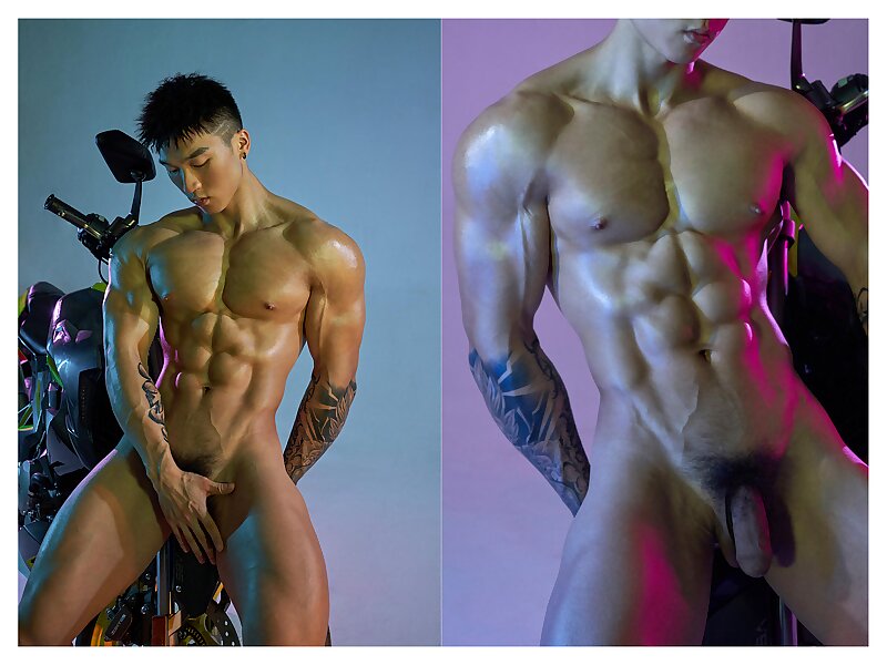Next Image >>