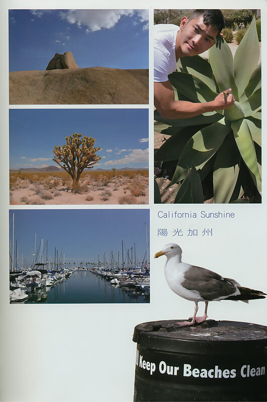 Next Image >>
