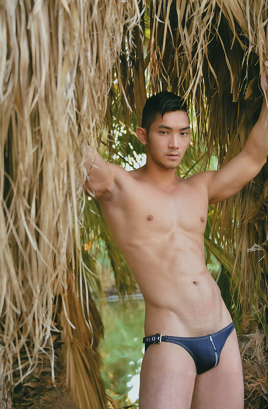Next Image >>