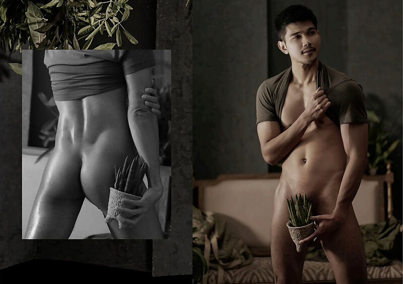Next Image >>