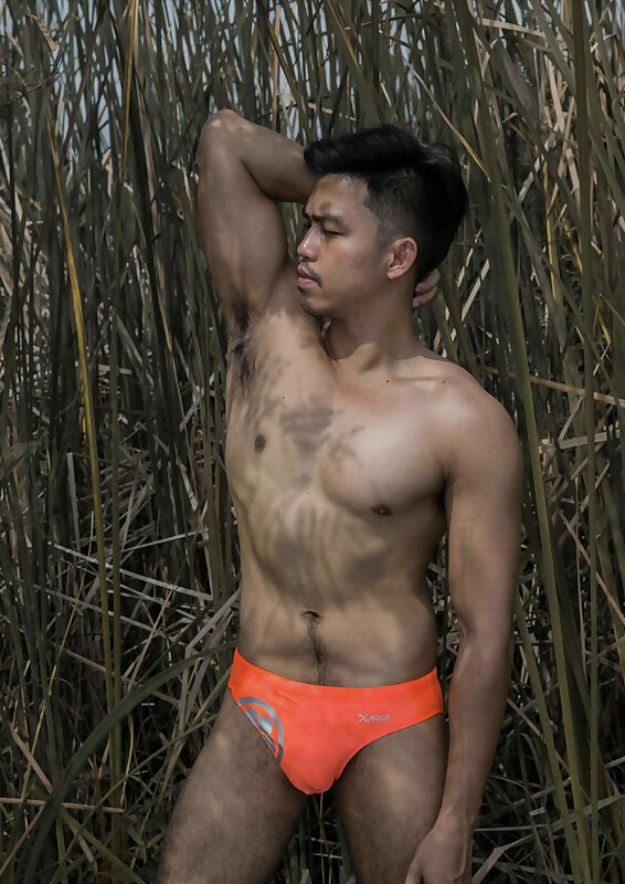 Next Image >>