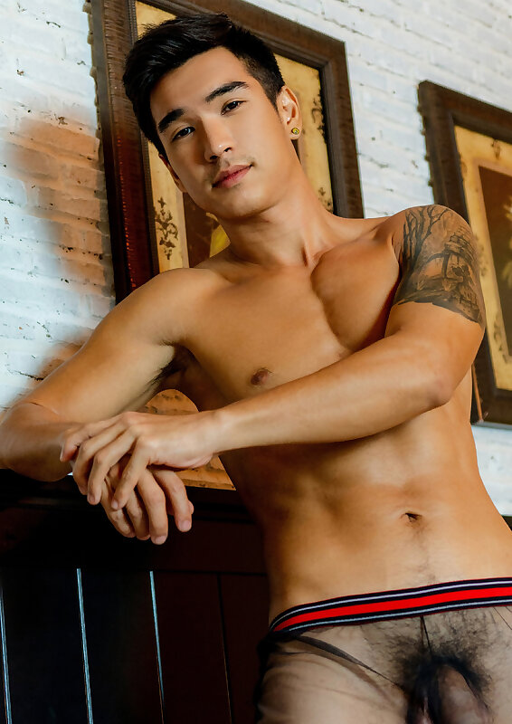 Next Image >>