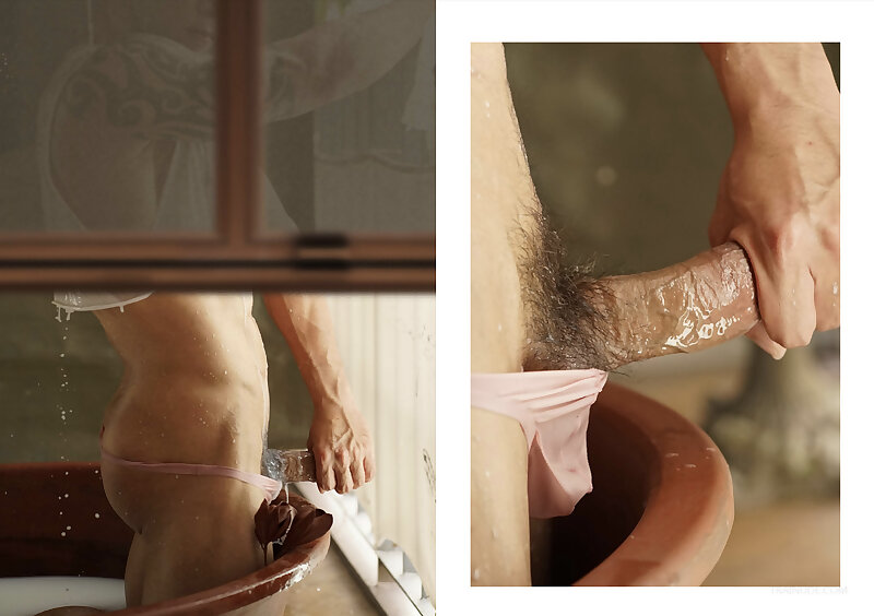 Next Image >>