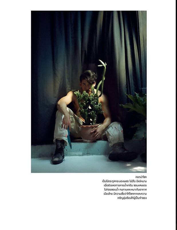 Next Image >>