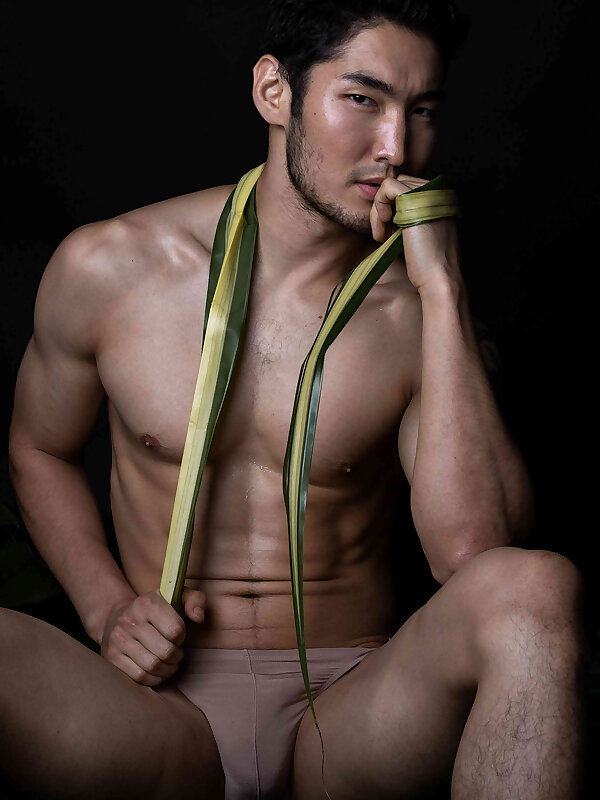 Next Image >>