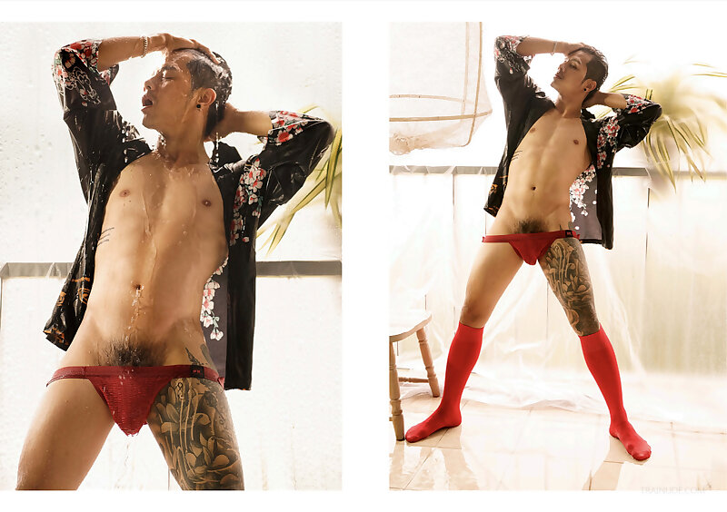 Next Image >>