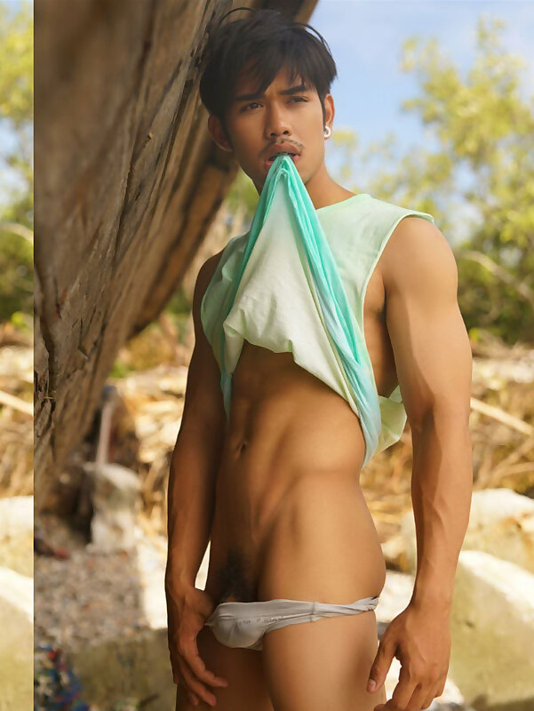 Next Image >>