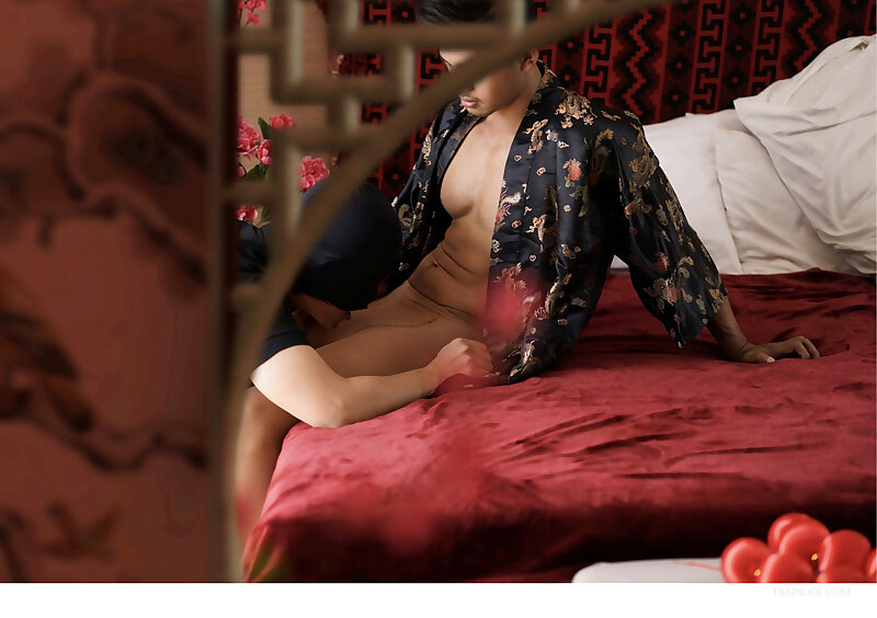 Next Image >>