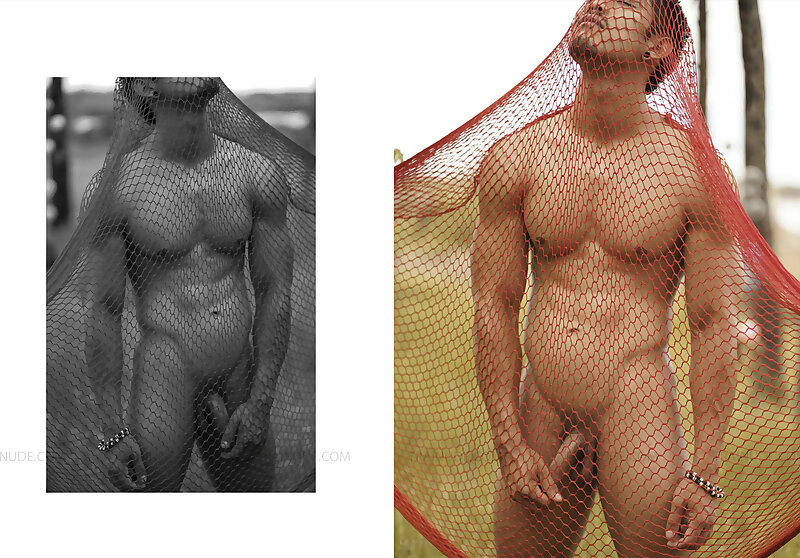 Next Image >>