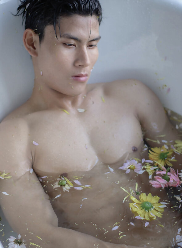 Next Image >>