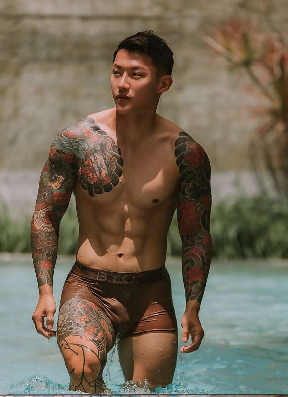 Next Image >>