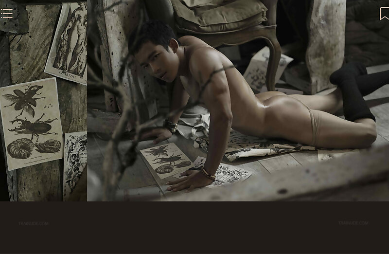 Next Image >>