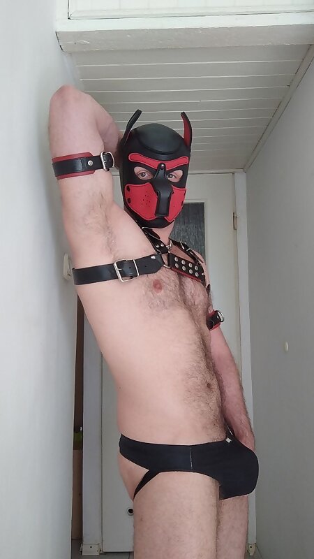 Next Image >>
