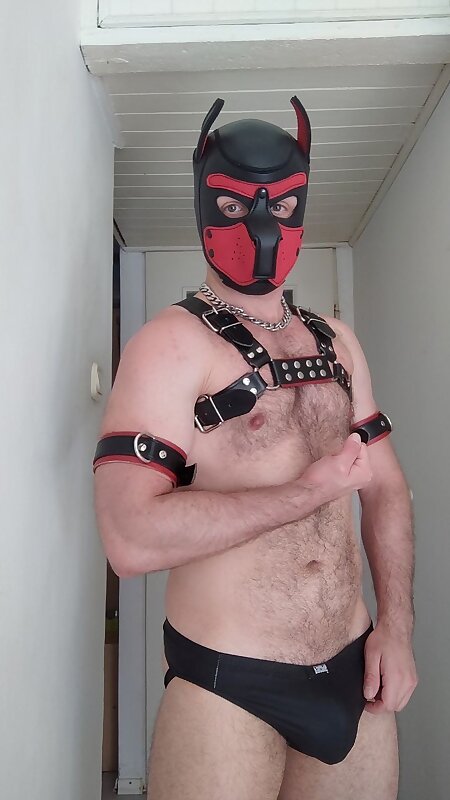 Next Image >>