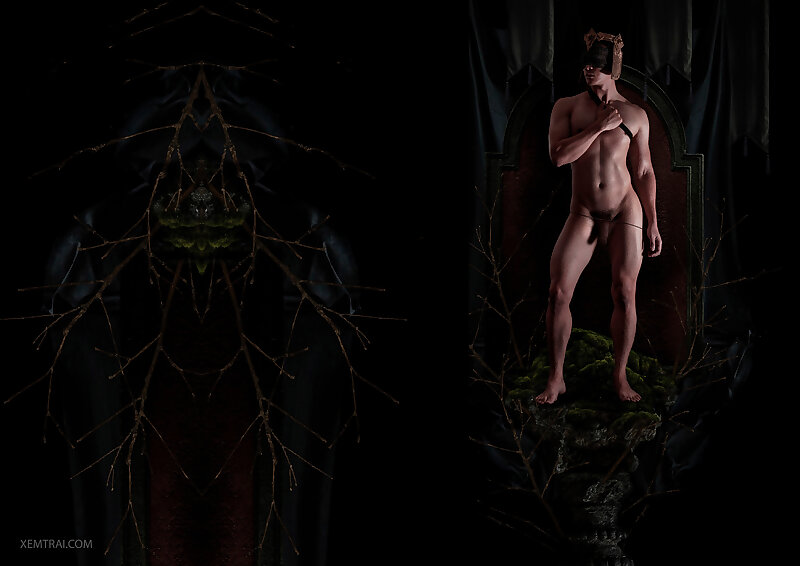 Next Image >>