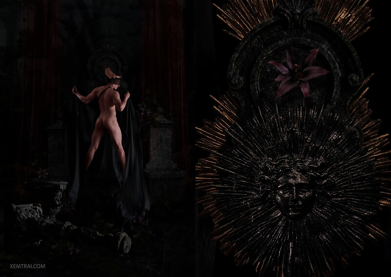Next Image >>