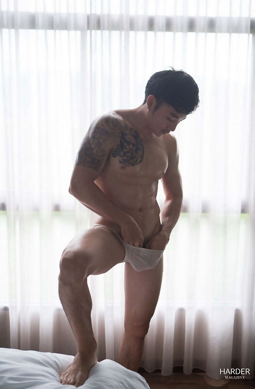 Next Image >>