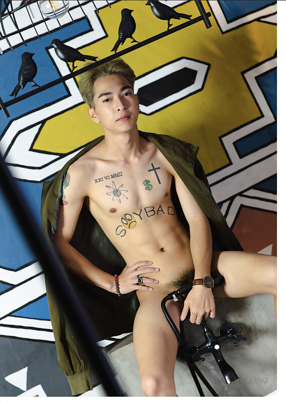 Next Image >>