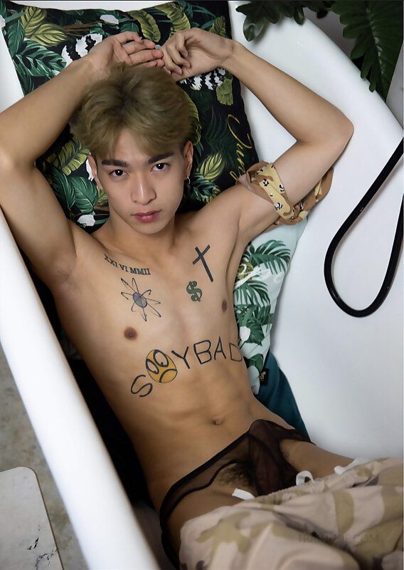 Next Image >>