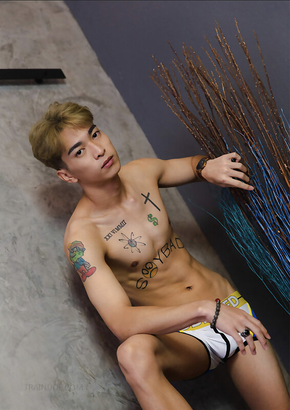 Next Image >>