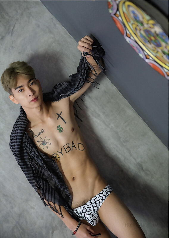 Next Image >>