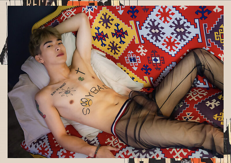Next Image >>
