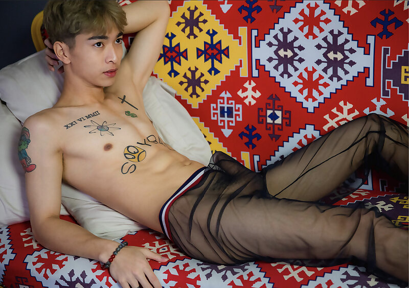 Next Image >>
