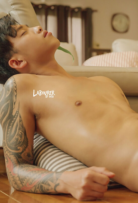 Next Image >>