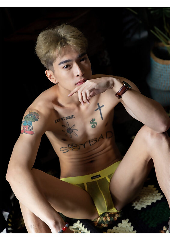 Next Image >>