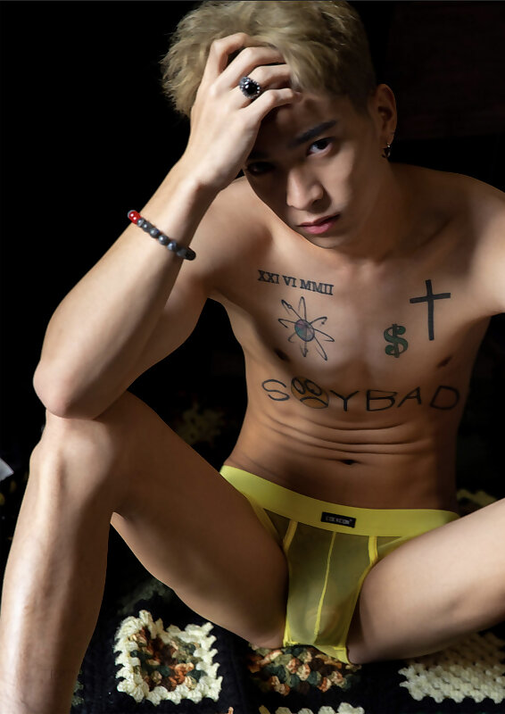 Next Image >>