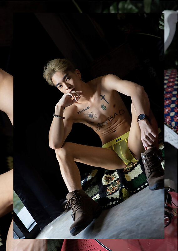 Next Image >>