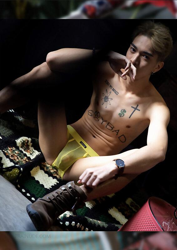 Next Image >>