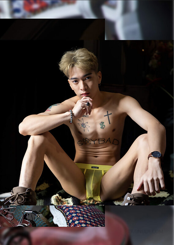 Next Image >>