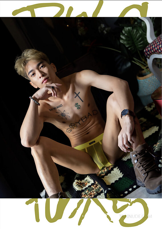 Next Image >>