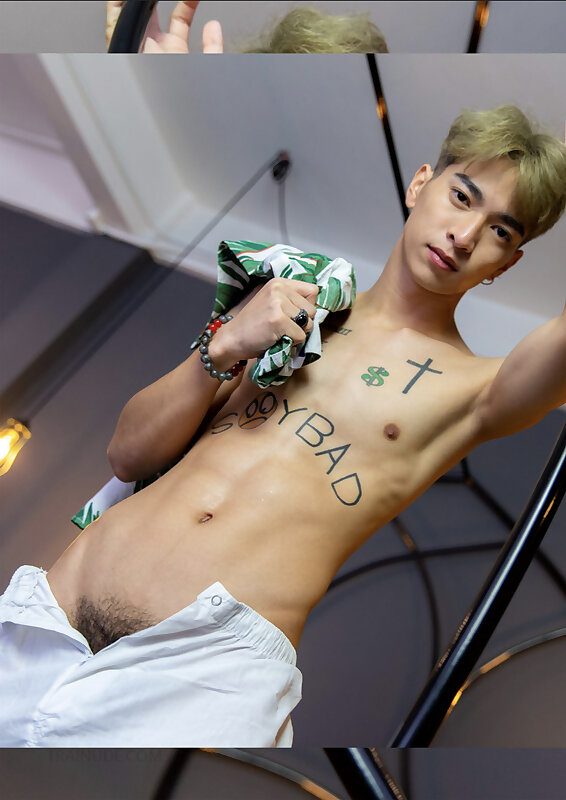 Next Image >>