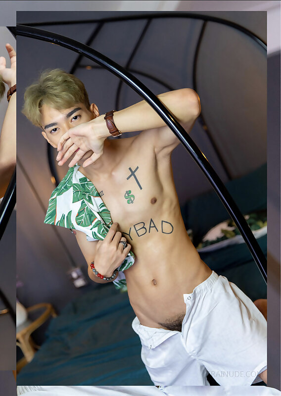 Next Image >>