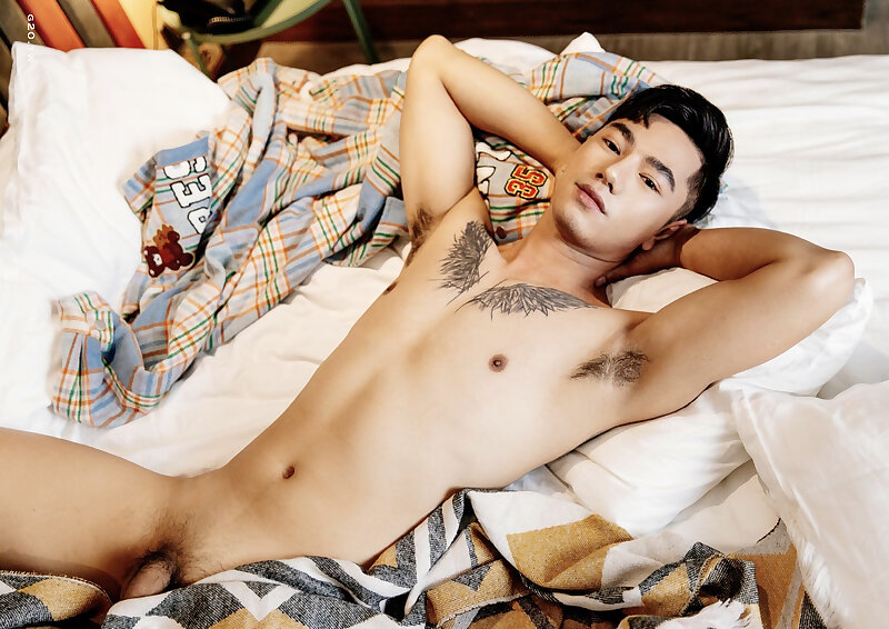 Next Image >>