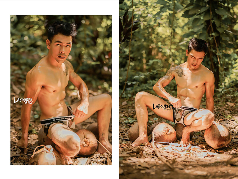 Next Image >>